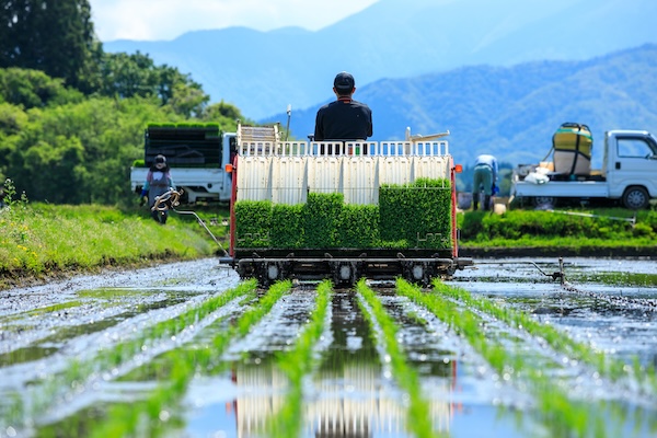 福島県産 ひとめぼれ 白米 2.0トン【定期配送対応】